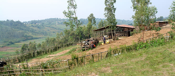 Why Rwanda Requires Continued Humanitarian Support in a Changing Global Landscape?